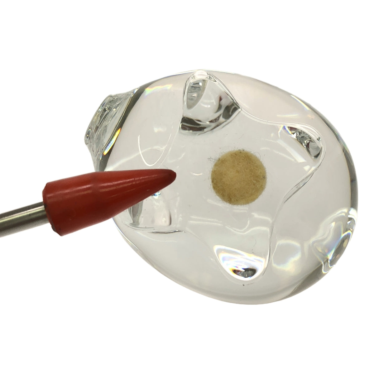 BACCARAT / バカラ | クリスタル フィギュア 豚 アニマル コレクション | クリア