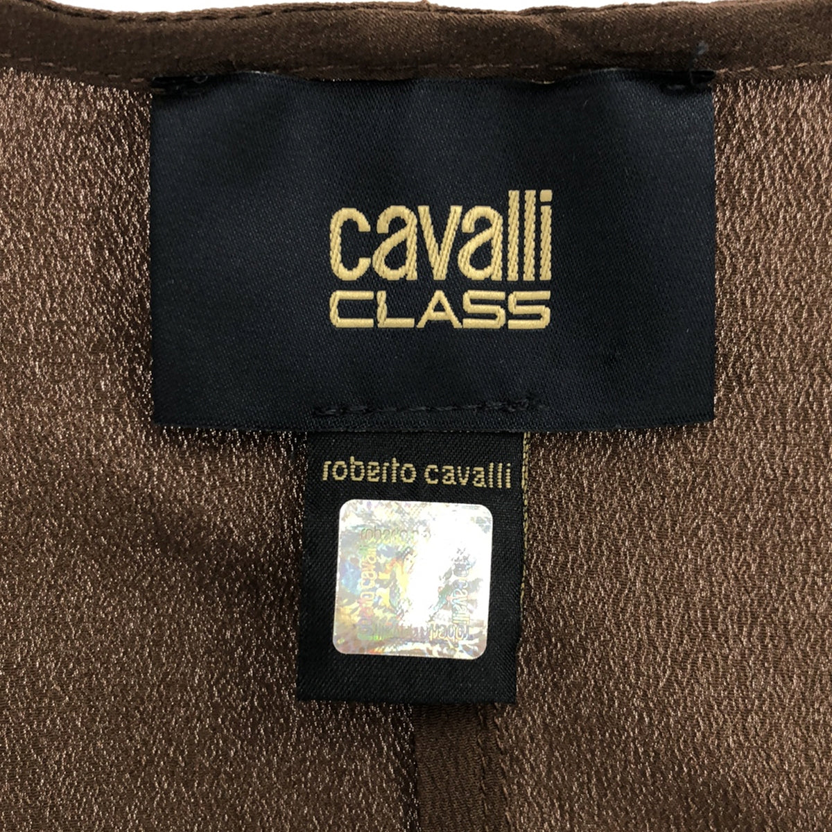 CLASS Roberto Cavalli / 클래스 로베르토 카발리 | 실크 혼합 V 넥 민소매 풀오버 | 40 | 브라운 | 여성