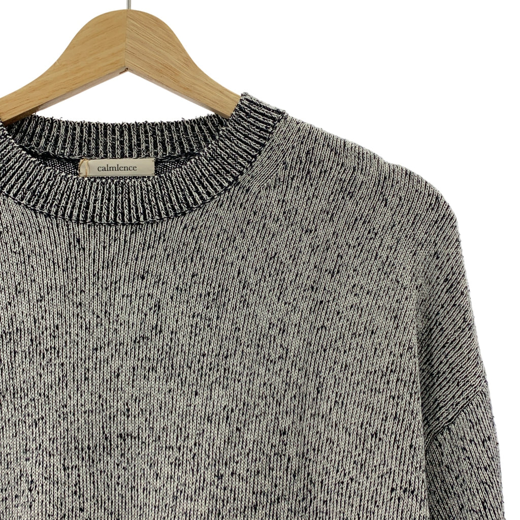 calmlence / カームレンス | Crew Neck Pullover Silk Plating シルク クルーネックニット | 1 |