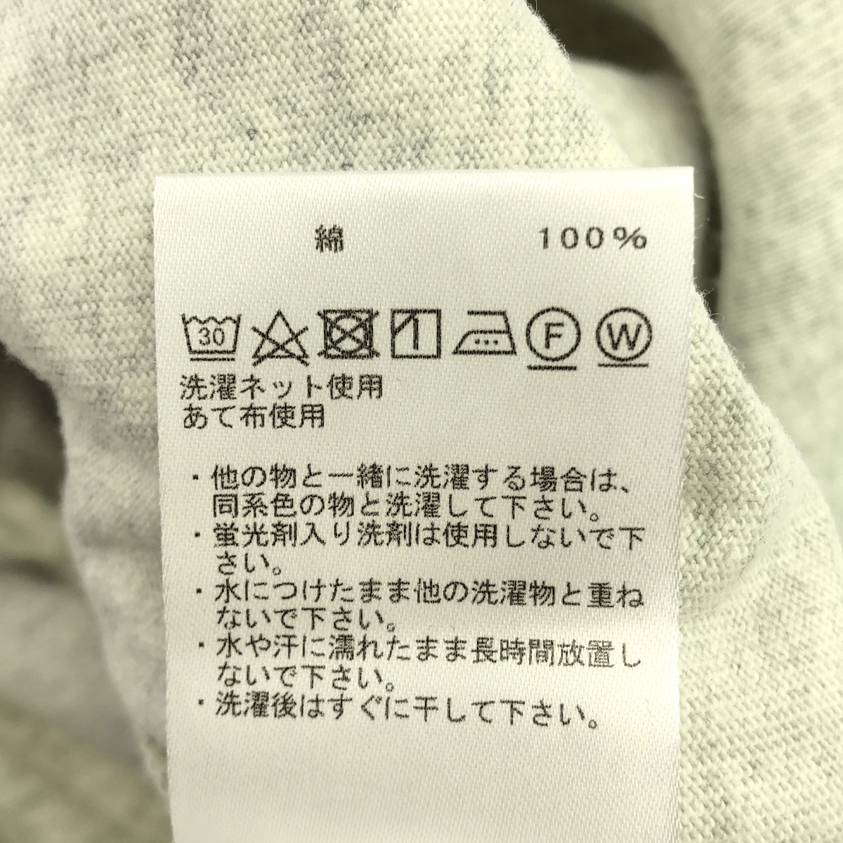 THE NORTH FACE PURPLE LABEL / ザノースフェイスパープルレーベル | 2024AW | 9.5oz Cotton Jersey Field Pullover 9.5オンス フィールド プルオーバー スウェット | S | オートミール | メンズ
