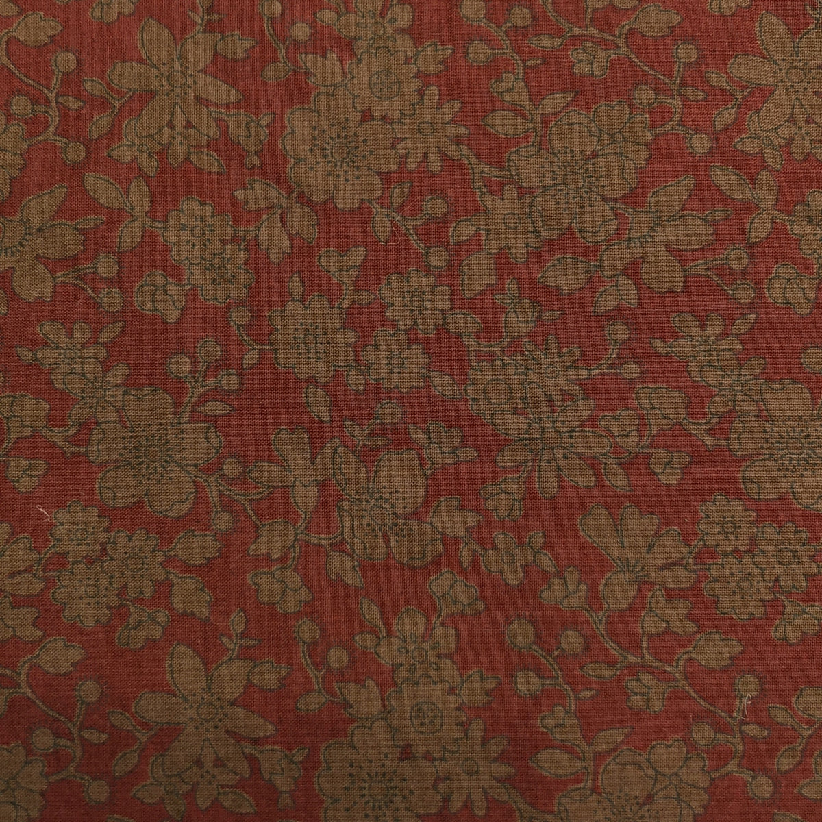 DANIELA GREGIS | 大號棉質全印花披肩 / 男女通用 | F |