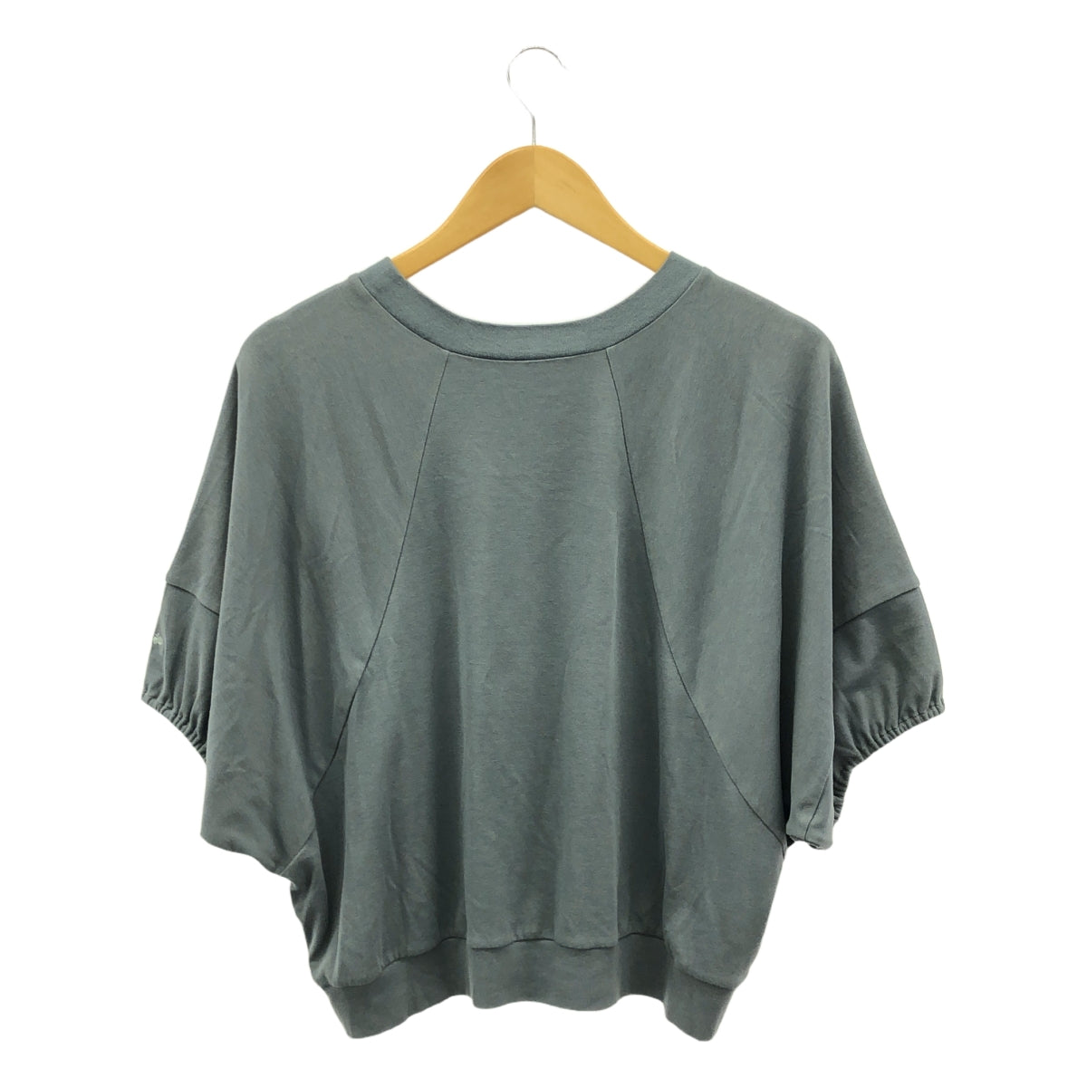 mina perhonen / mina perhonen | 2024ss | dry breeze dolman sleeve cut and sew | 36 | blue gray | women's