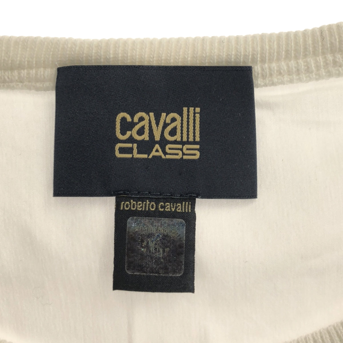 CLASS Roberto Cavalli / 클래스 로베르토 카발리 | 프릴 레이스 자수 민소매 컷소우 | 40 | 화이트 | 여성