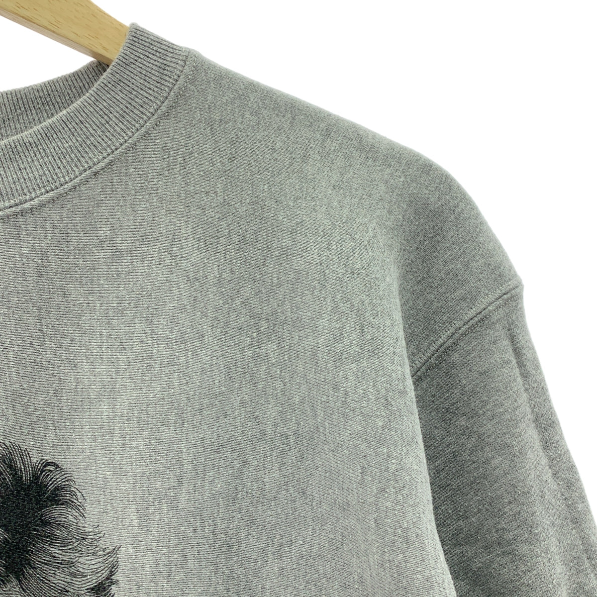 ARTHUR HOPE DEL MOON | C/N 衛衣 照片圓領衛衣 | L |