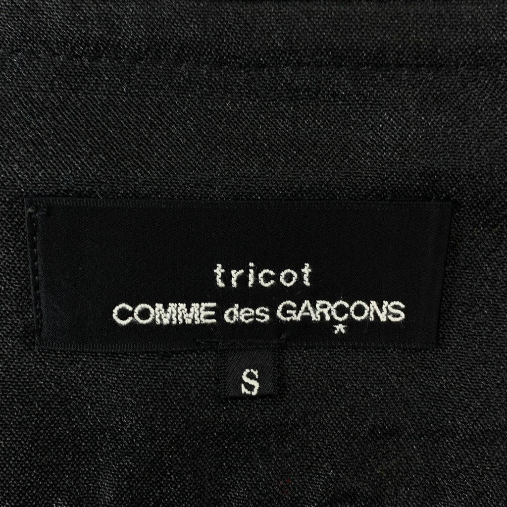 tricot COMME des GARCONS / トリココムデギャルソン | 2006SS | ウール プリーツ ベルテッド ラップスカート | S | レディース
