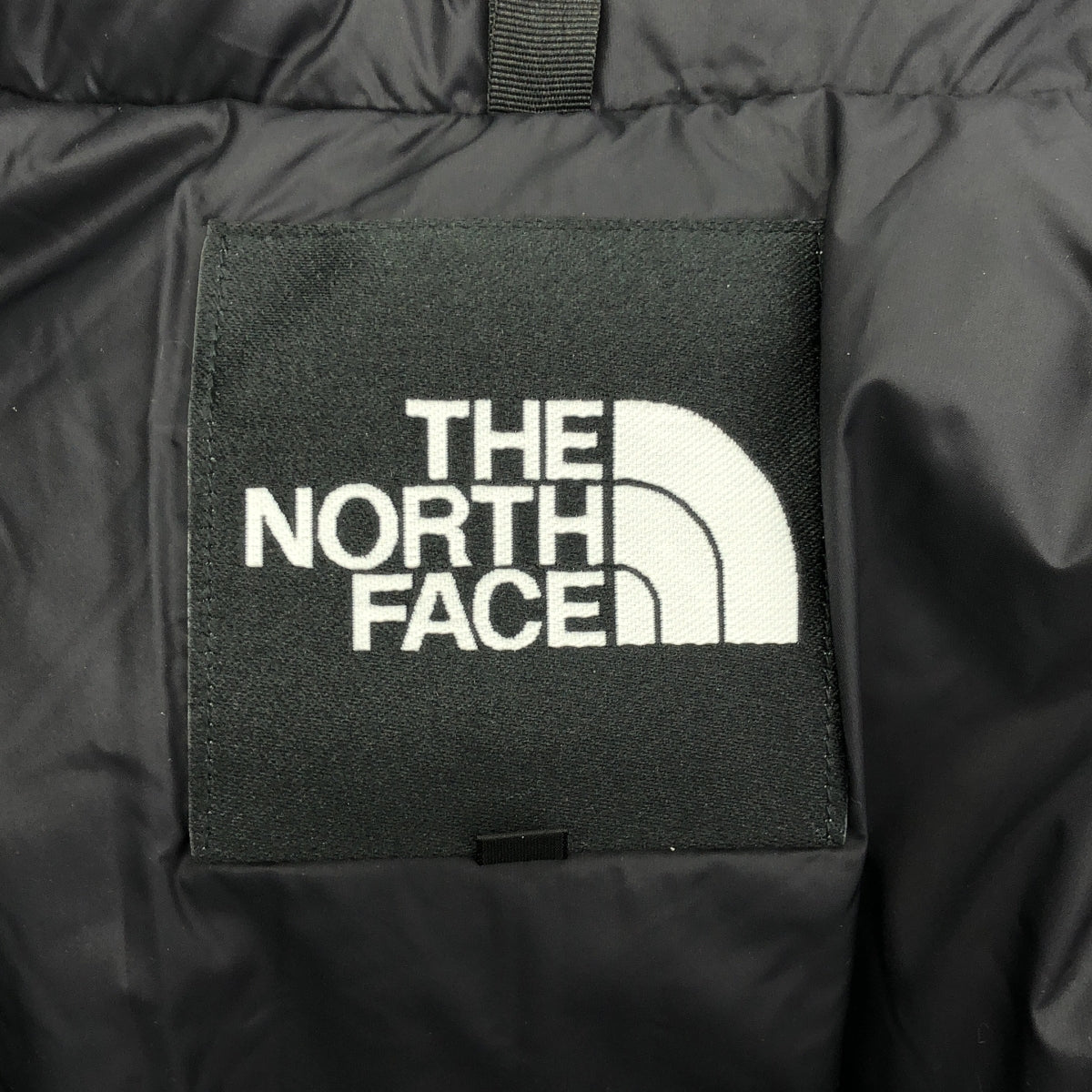 THE NORTH FACE / ザノースフェイス | 2024AW | GORE-TEX  MOUNTAIN DOWN JACKET / ゴアテックス マウンテンダウンジャケット | L | メンズ