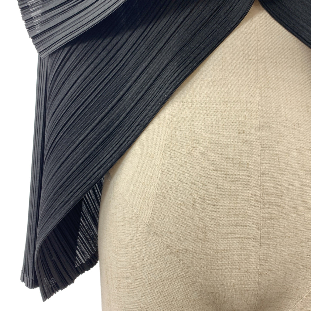 PLEATS PLEASE ISSEY MIYAKE / 주름 뿌리즈 이세이 미야케 | 주름 변형 재킷 | 3 |