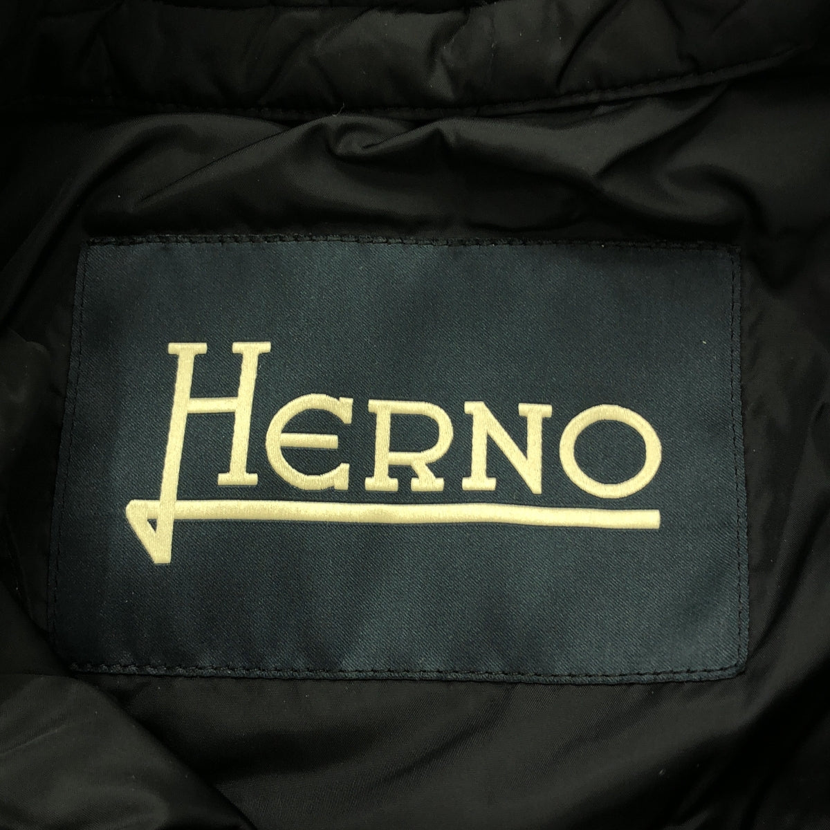 HERNO / 헤르노 | POLAR TECH 칼라 착탈 가능 다운 재킷 | 48 | 블랙 | 남성