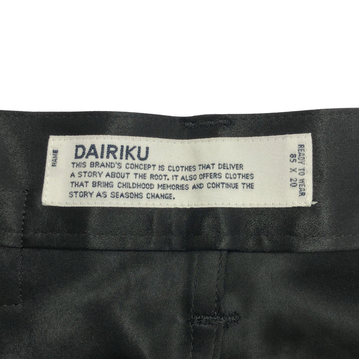 DAIRIKU | 2024SS | 「直筒」緞面褲 | 尺寸 29 |