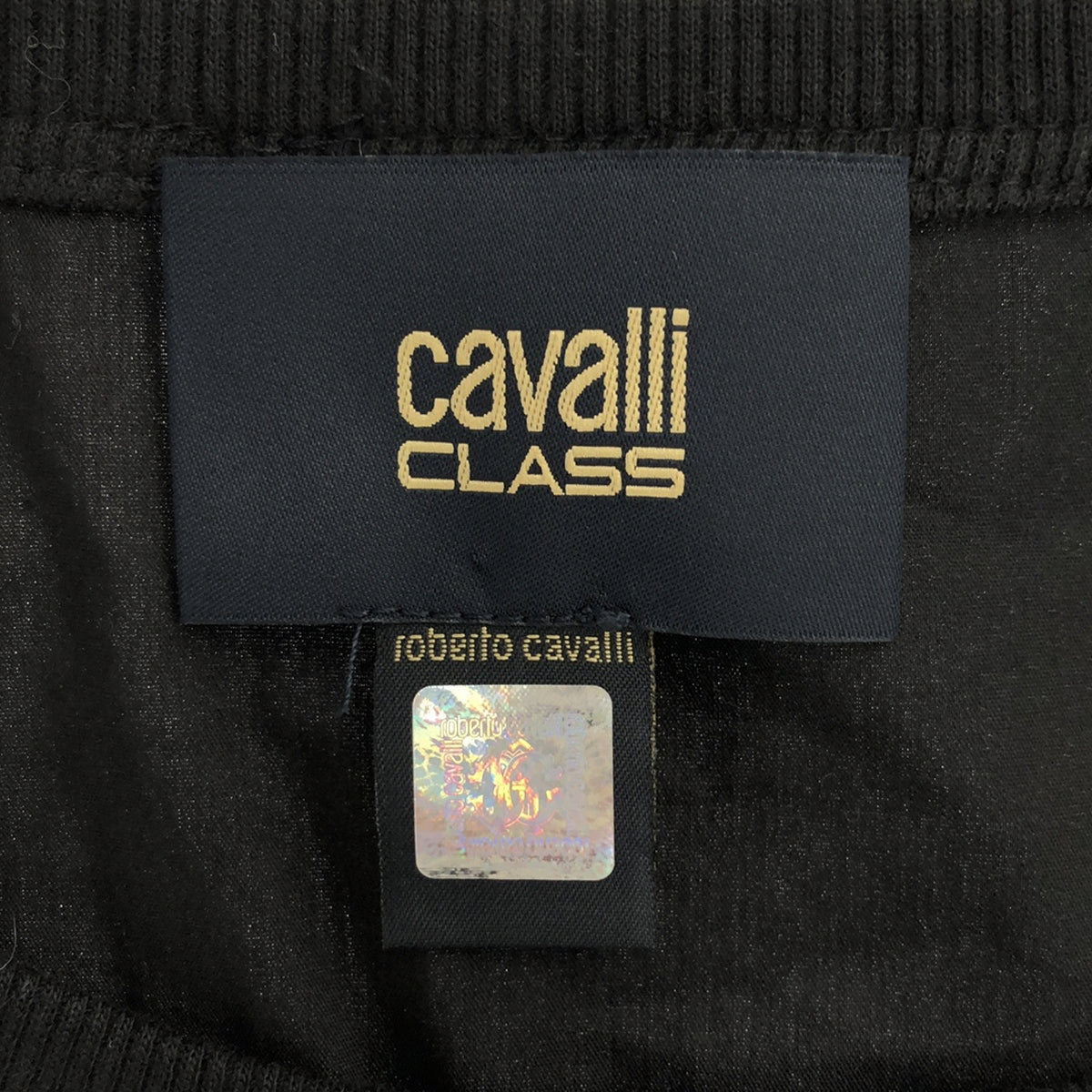 CLASS Roberto Cavalli / 클래스 로베르토 카발리 | 프릴 레이스 자수 민소매 컷소우 | 38 | 블랙 | 여성