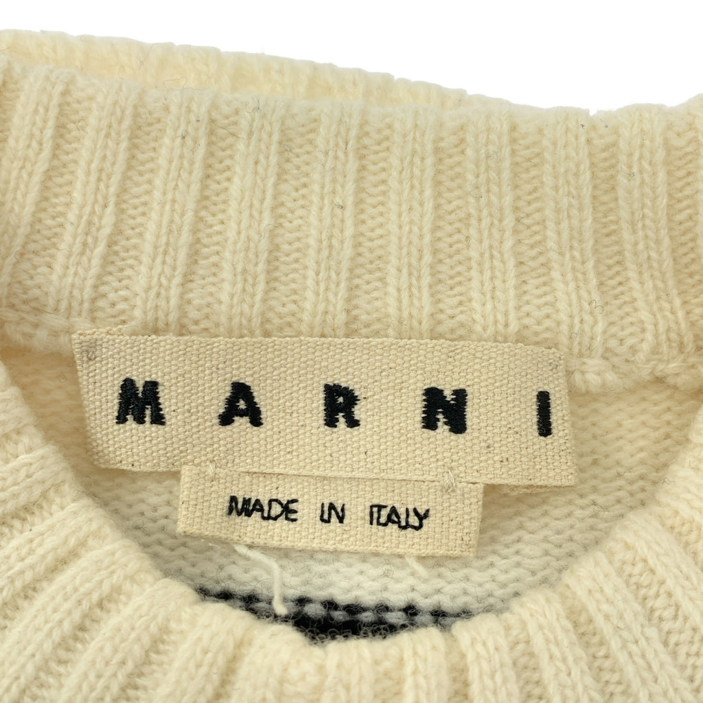 MARNI / 마르니 | 2021AW | 울 테두리 크루넥 니트 | 46 | 남성