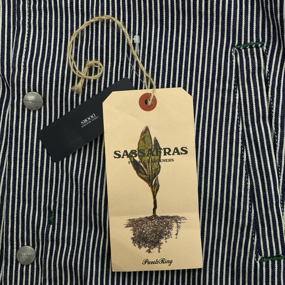 SASSAFRAS / 사사후라스