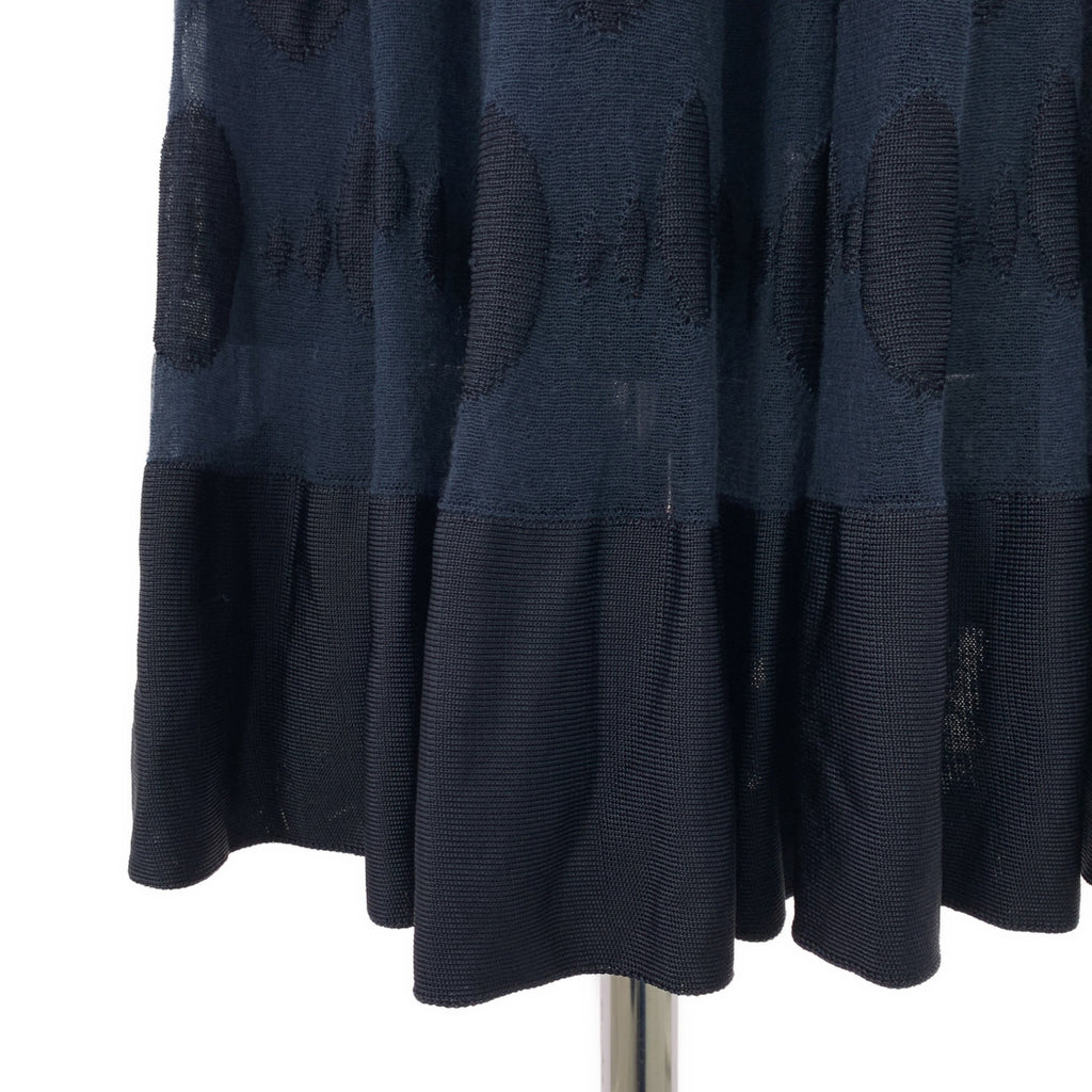 CHANEL / シャネル | ポルカドット シアー ロング フレアスカート |