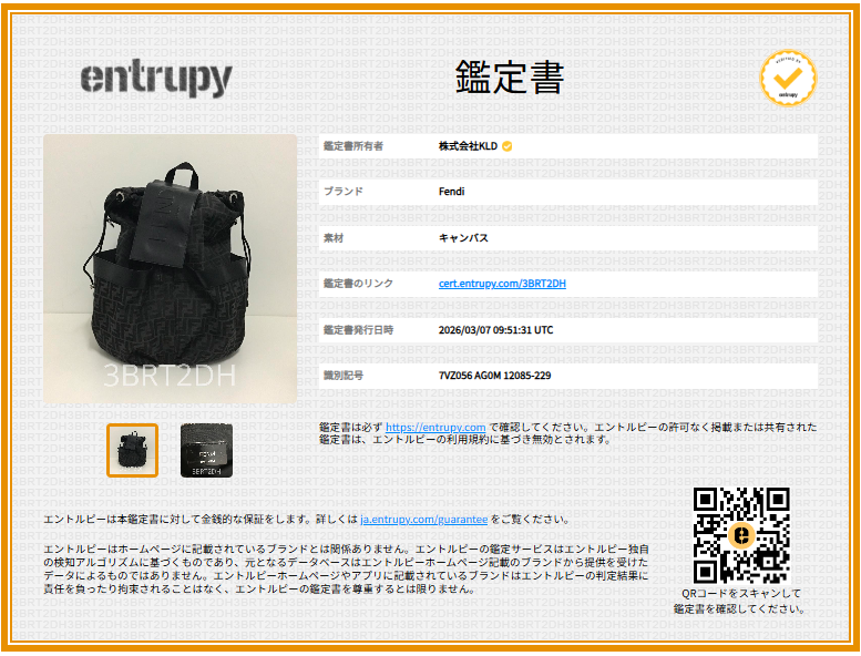 FENDI / 芬迪 | FF提花條紋中號背包 |