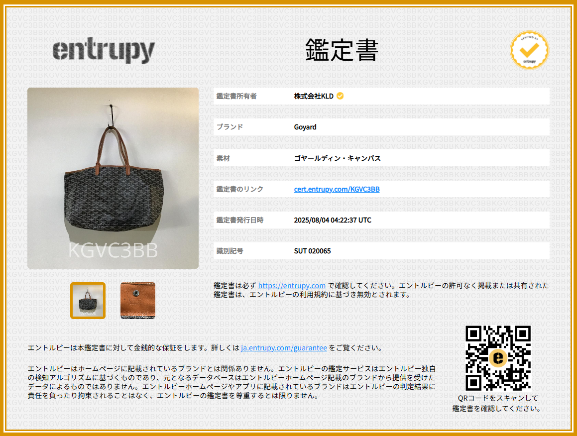 GOYARD / 고야르 | 산루이 PM 딘 캔버스 토트 백 | 브라운 | 여성