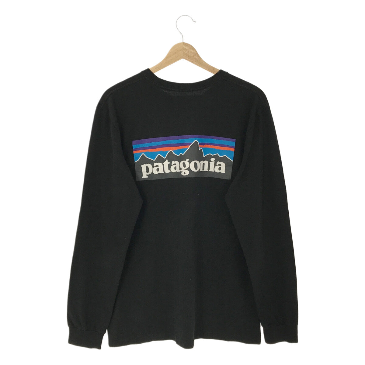 Patagonia / パタゴニア | バックロゴプリント ロングスリーブ Tシャツ