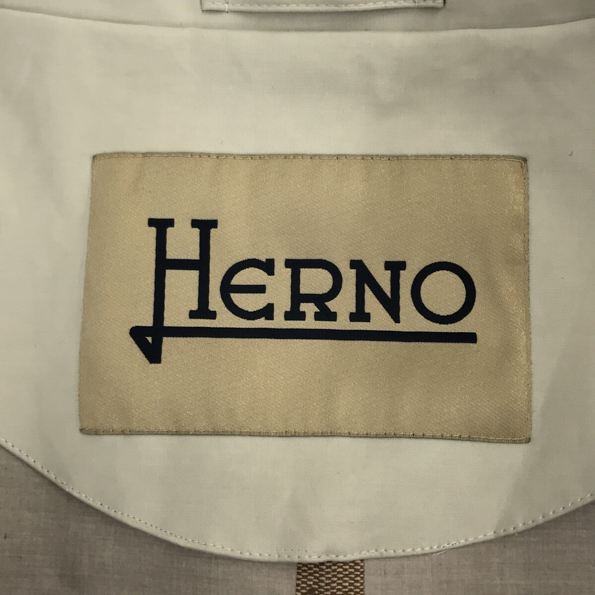 HERNO / ヘルノ | Eufrate スタンドカラー ジャケット | 42 | ライトグレー | レディース