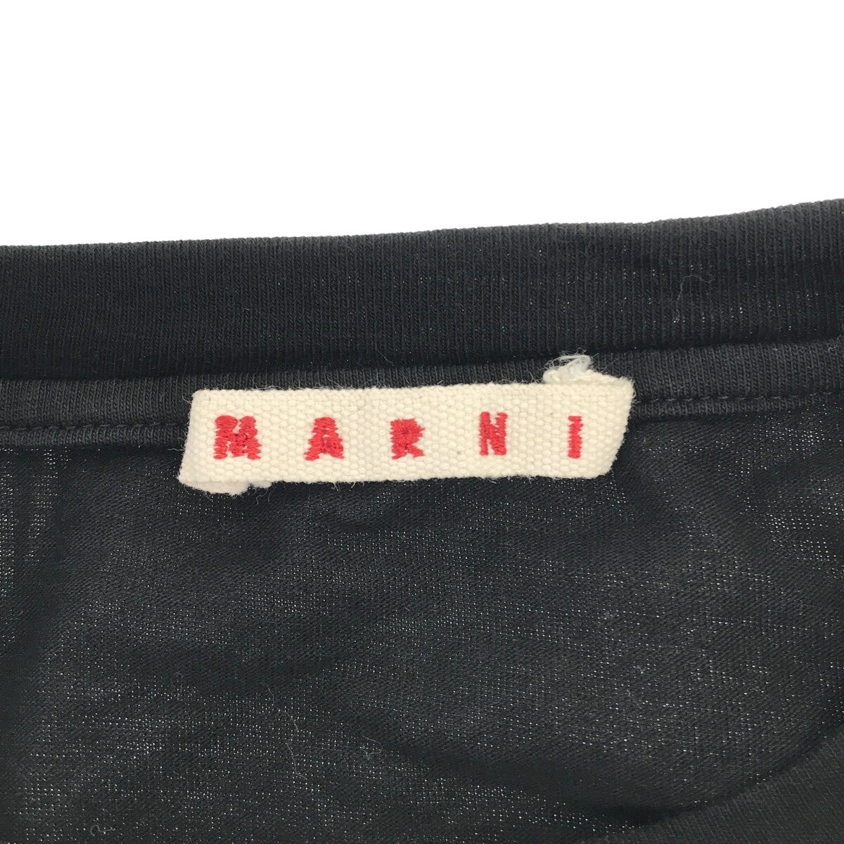 MARNI / マルニ | コットン クルーネックTシャツ | 36 | レディース