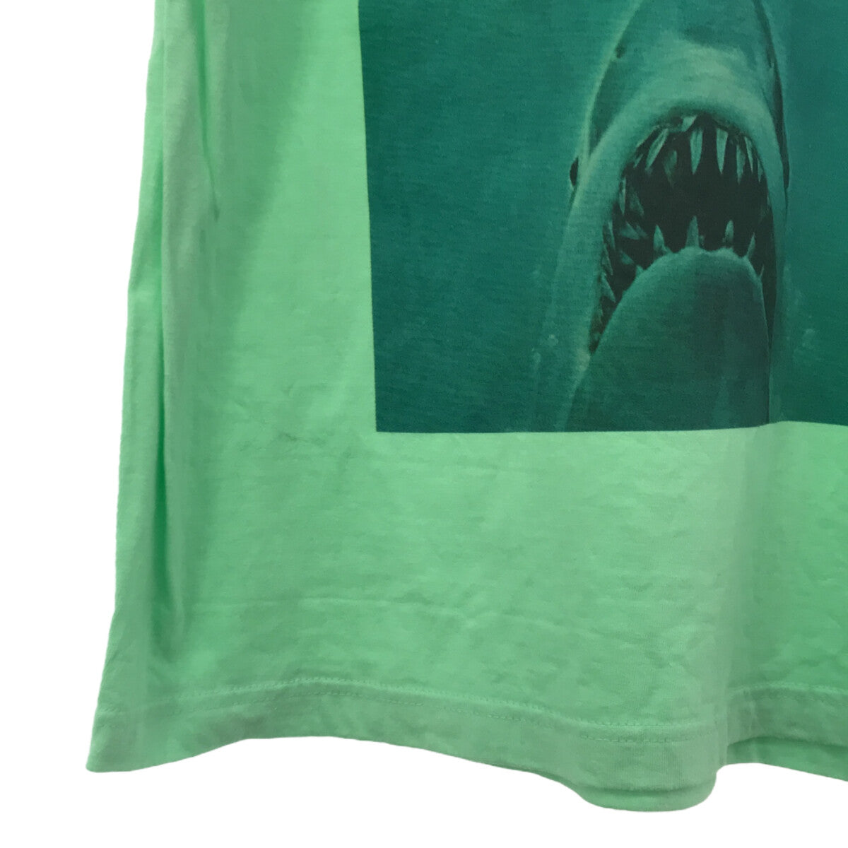 Shinzone / シンゾーン | JAWS Tシャツ | F | グリーン | レディース – KLD