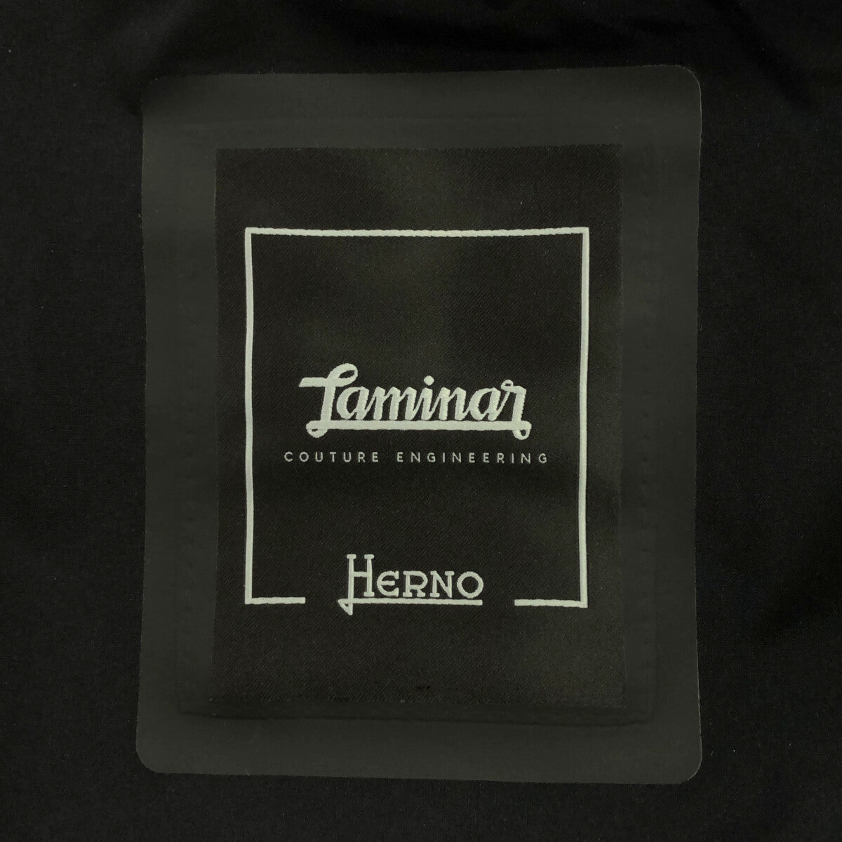HERNO / ヘルノ | LAMINAR GORE-TEX WINDSTOPPER / ゴアテックス ケープジャケット | 42 | レディース
