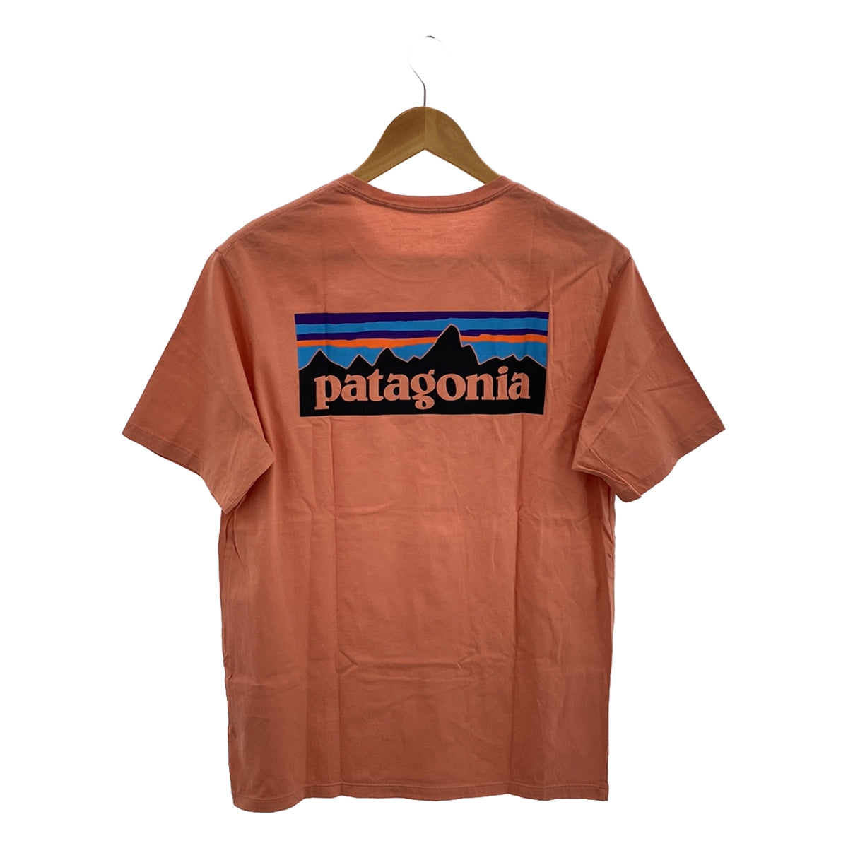 Patagonia / パタゴニア | P-6ロゴ プリント オーガニックコットン T 