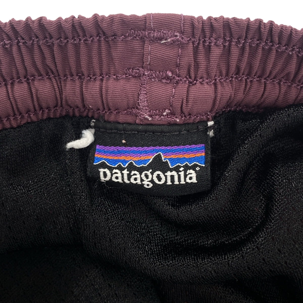 Patagonia / パタゴニア | Baggies Shorts / バギーズショーツ パンツ |
