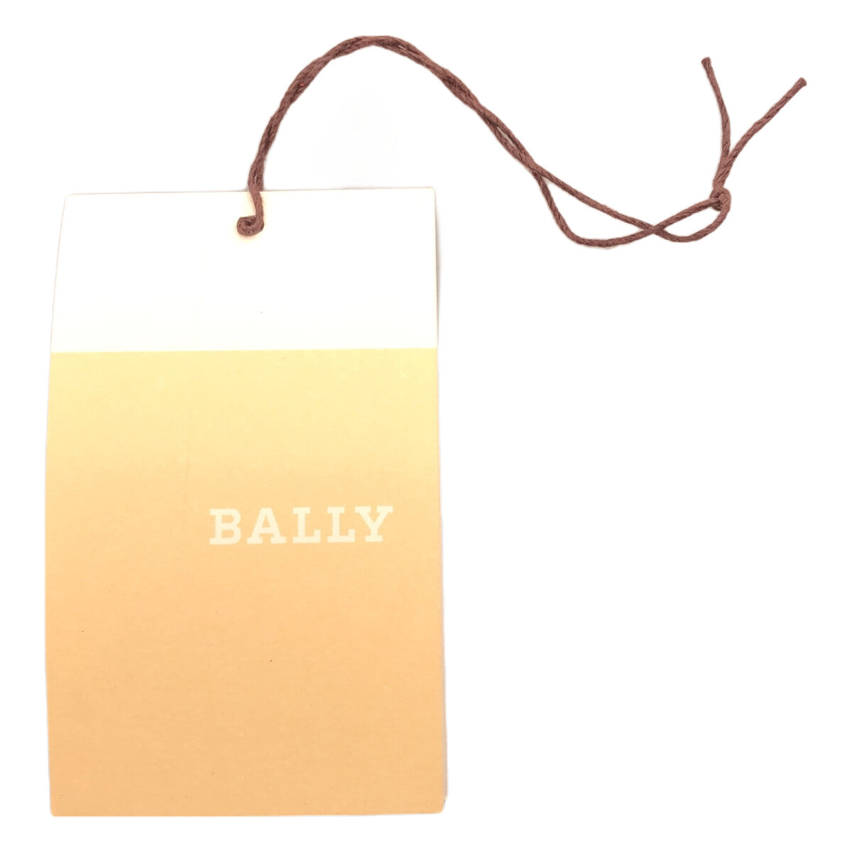 【美品】  BALLY / バリー | ドックタグ ネックレス | シルバー | メンズ