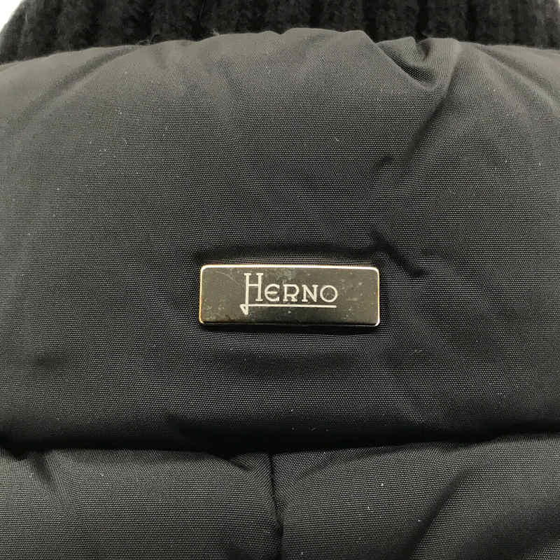HERNO / ヘルノ | POLAR-TECH ポーラーテック リブ 切替 ロング ダウン